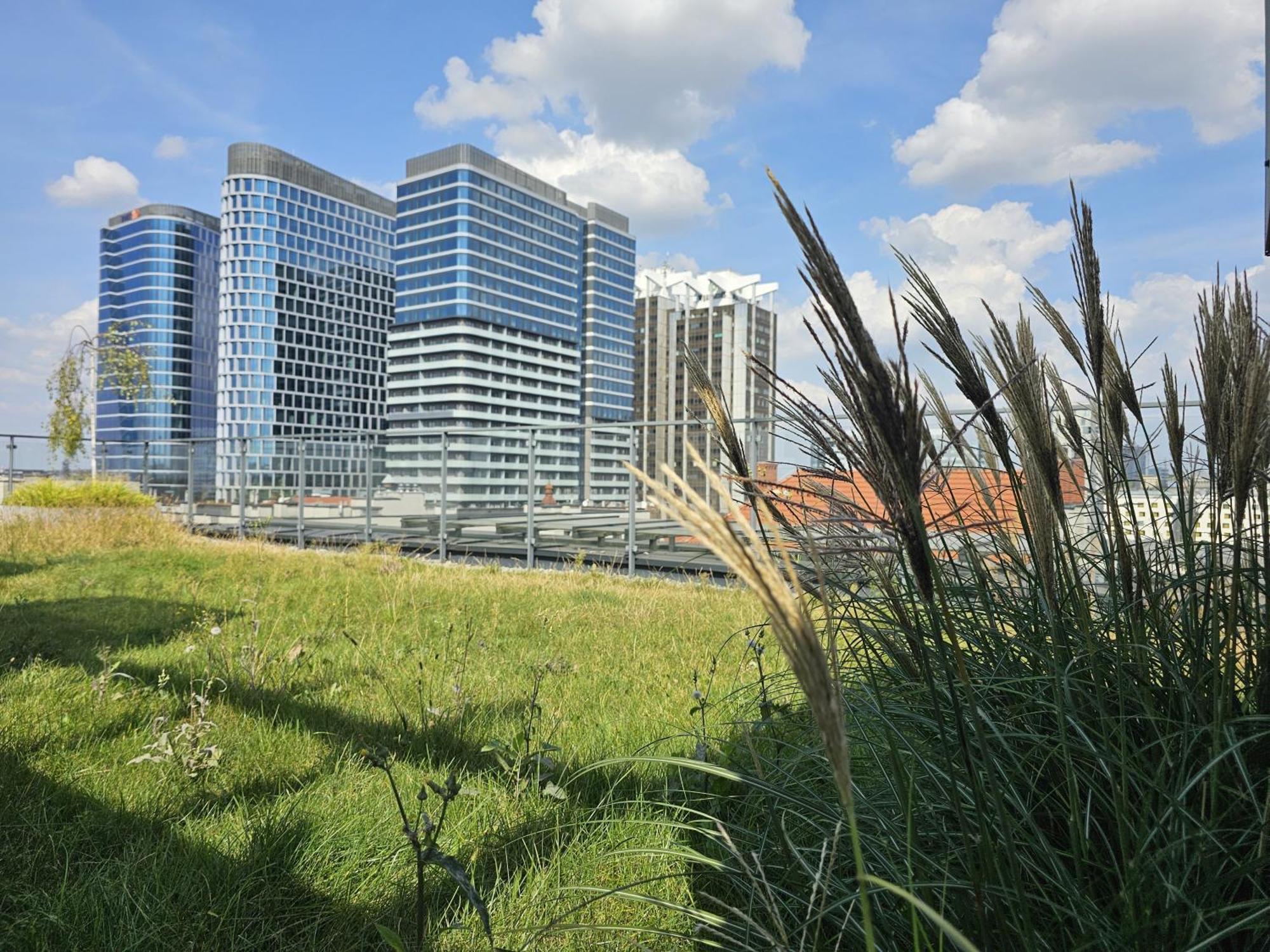 Urban Premium Opolska 10 Nr 89 2 Garages Kattowitz